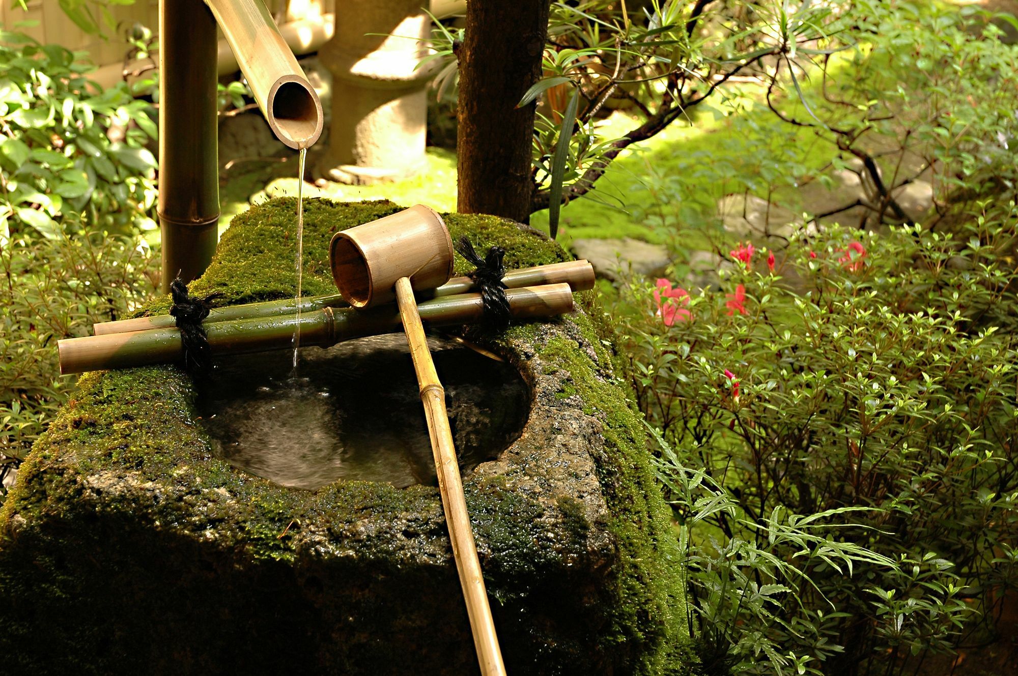 Ryokan Motonago Kyoto Exteriör bild